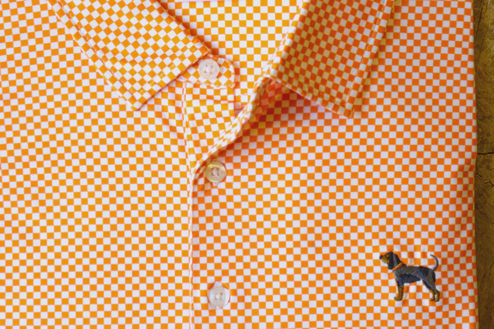 Bluetick Checkerboard Polo