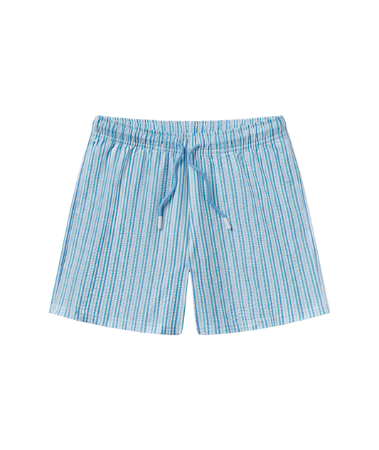 Boys Clubhouse Seersucker Swim Shorts
