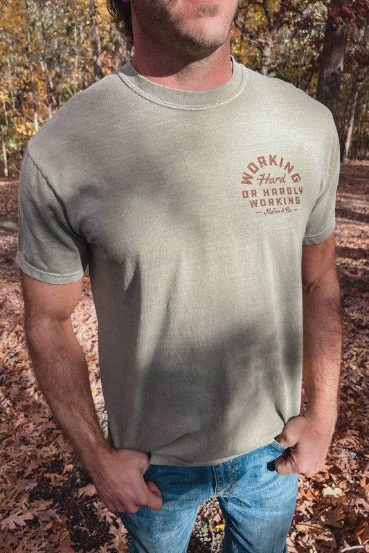 Working Hard or Hardly Working Graphic Tee